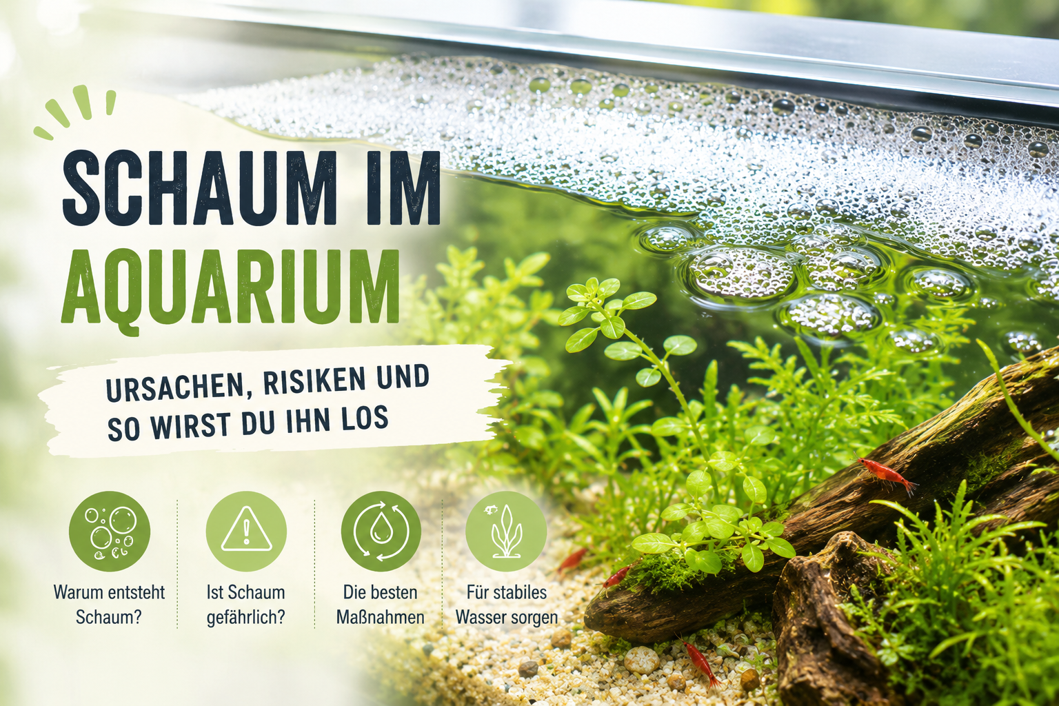 Schaum im Aquarium – harmlos oder Warnsignal? Ursachen erkennen und richtig handeln