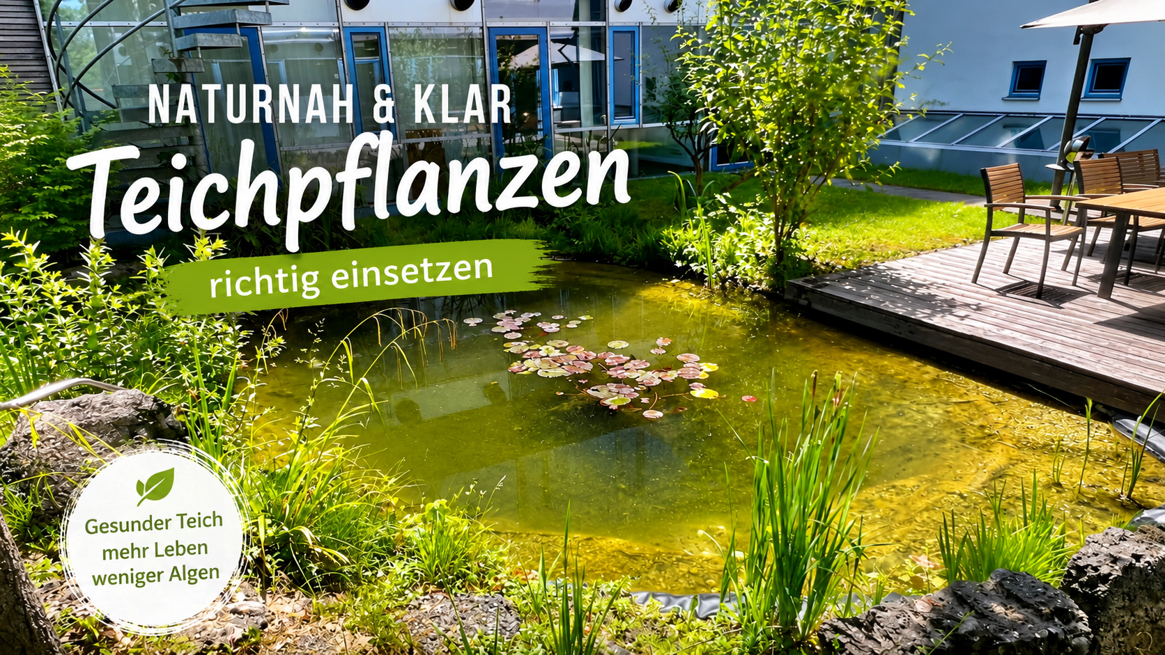 Teichpflanzen richtig einsetzen – Mehr Pflanzen für einen gesunden und schönen Gartenteich