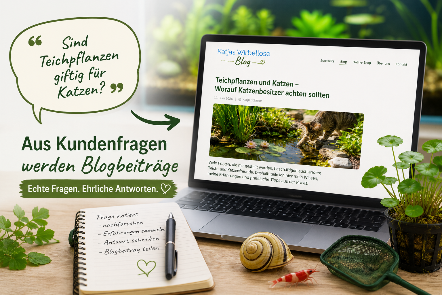 Warum dieser Blog entstanden ist