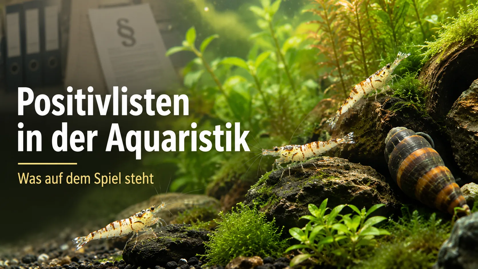 Positivlisten in der Aquaristik – droht das Ende der Artenvielfalt?