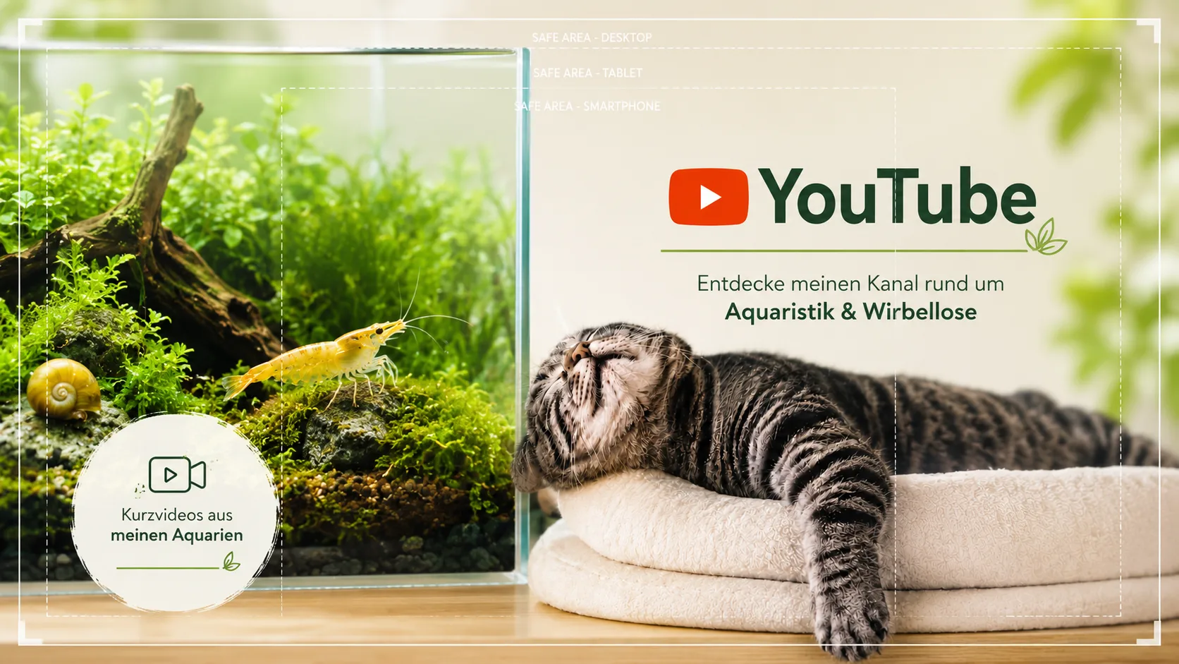 Videos – Einblicke in meine Aquarien und ihre Bewohner